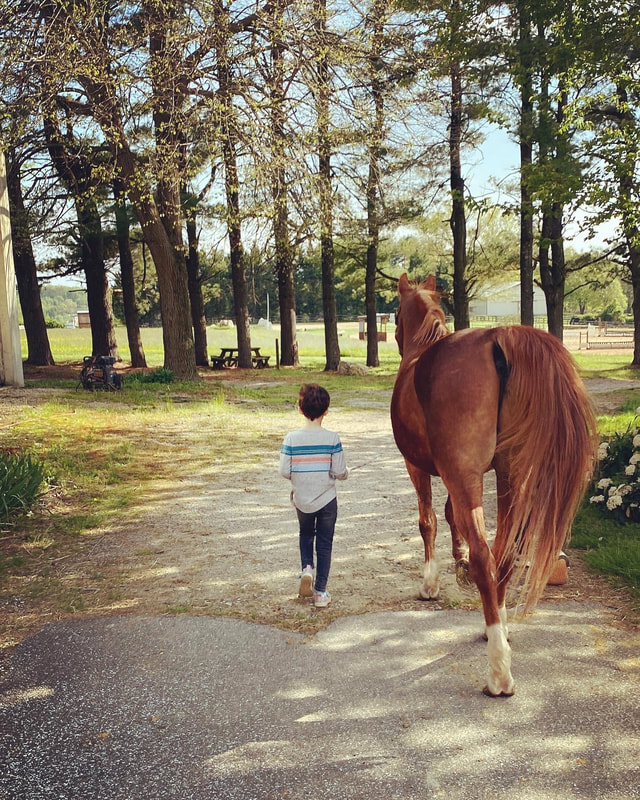 Boy walking with chestnut gelding outside at barn | Horse therapy in Eldersburg, Life skills, social skills, ADHD management, therapy for neurodiversity, anxiety, depression and trauma, Eldersburg Equine Psychotherapy