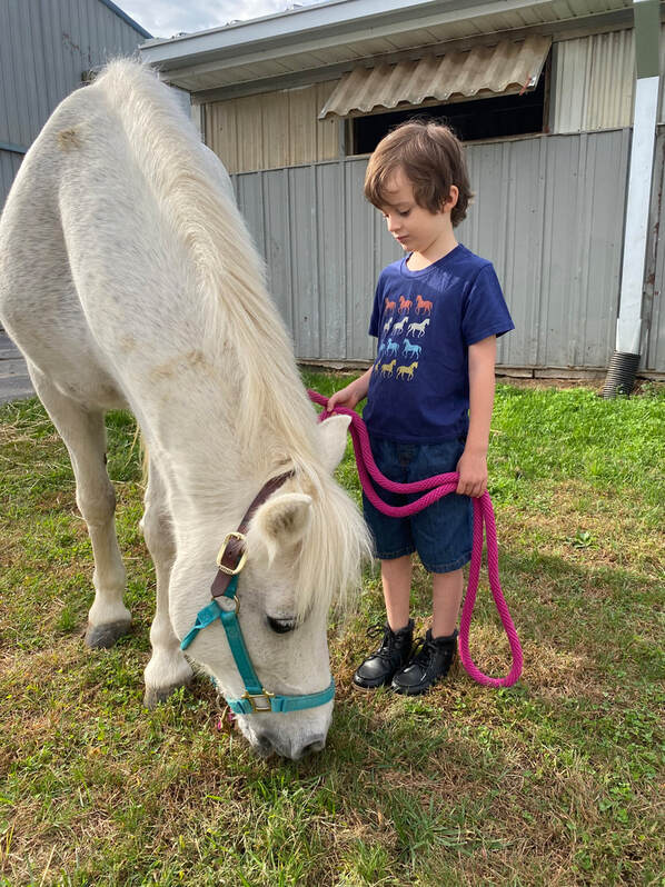 Child with white pony on pink lead line, pony eating grass at barn | Eldersburg Equine Psychotherapy, Horse therapy for neurodiversity, ADHD, anxiety, depression and trauma for adults and kids in Eldersburg, Maryland